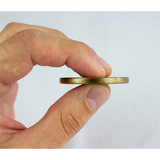 a hand holding One Day at a Time Antique Gold Plated  Challenge Coin with Serenity Prayer sideways