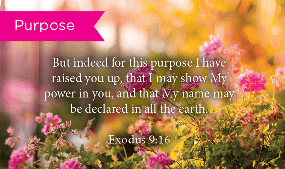 Pass Along Scripture Cards, Purpose, Exodus 9:16, Pack 25 - Logos Trading Post, Christian Gift