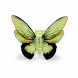 Butterfly Clip Green - Glory of God, Psalm 19:1-2