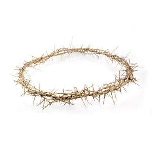Crown of Thorns 24”