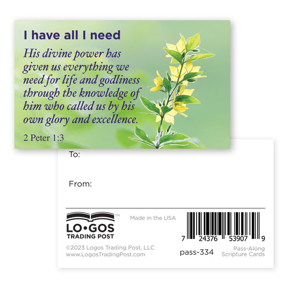 I have all I need, 1 Peter 1:3, Pass Along Scripture Cards, Pack of 25