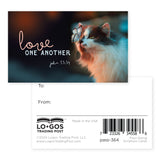 Cat, Love One Another, John 13:34, Pass Along Scripture Cards, Pack of 25