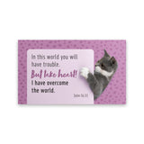 Cat, Take Heart, John 16:33, Pass Along Scripture Cards, Pack of 25