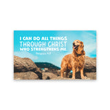 Dog, I Can Do All Things, Phil 4:13, Pass Along Scripture Cards, Pack of 25