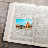 Dog, I Can Do All Things, Phil 4:13, Pass Along Scripture Cards, Pack of 25