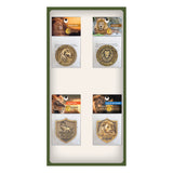 Panel Display - Lion Coins