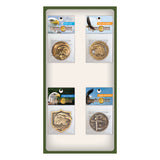 Panel Display - Eagle Coins