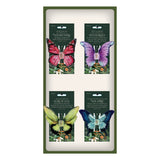 Panel Display - Butterfly Hair Clips