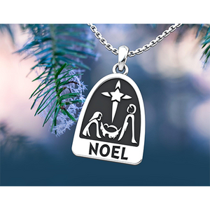 Noel Sterling Silver Necklace with an 18 inch chain in a pine tree