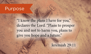 Purpose, Jeremiah 29:11, Pass Along Scripture Cards, Pack 25