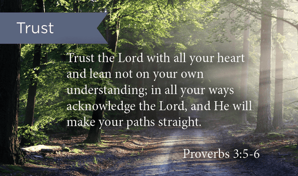 Trust In The Lord, Prov 3:5-6, Pass Along Scripture Cards, Pack 25