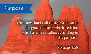 Purpose, Romans 8:28, Pass Along Scripture Cards, Pack 25