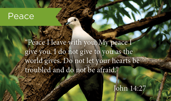 Peace, John 14:27, Pass Along Scripture Cards, Pack 25