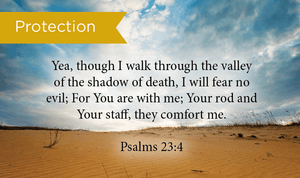 Pass Along Scripture Cards, Protection, Psalms 23:4, Pack 25 - Logos Trading Post, Christian Gift