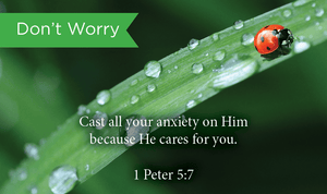 Pass Along Scripture Cards, Don't Worry, 1 Peter 5:7, Pack 25 - Logos Trading Post, Christian Gift