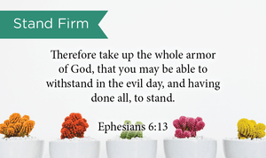 Pass Along Scripture Cards, Stand Firm, Eph, 6:13, Pack 25 - Logos Trading Post, Christian Gift