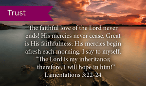 Pass Along Scripture Cards, Trust, Lamentations 3:22-24, Pack 25 - Logos Trading Post, Christian Gift
