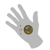 size of Christian swimming challenge coin relative to a human hand
